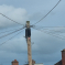 Telegraph poles