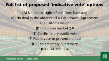 indicative votes