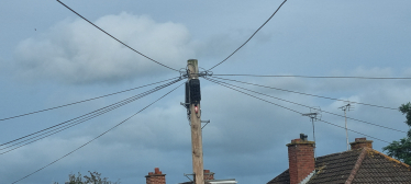 Telegraph poles